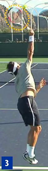 Federer 3