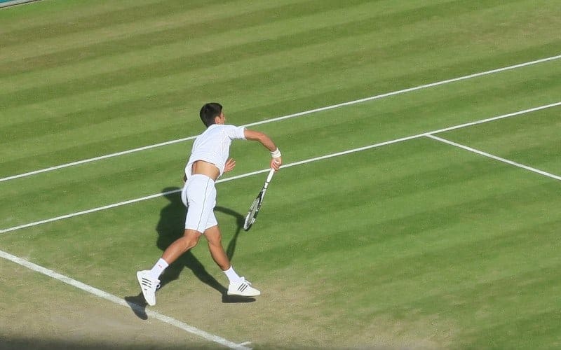 novak-jokovic-1600735_1920